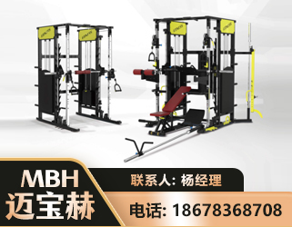 雅安多功能综合训练器