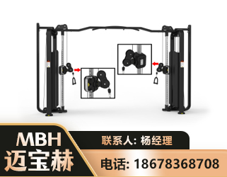 雅安大飞鸟训练器