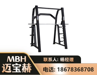 雅安史密斯机